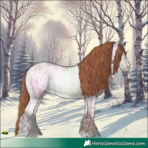 Horse Color:Gold Champagne Ice Dun Rabicano 