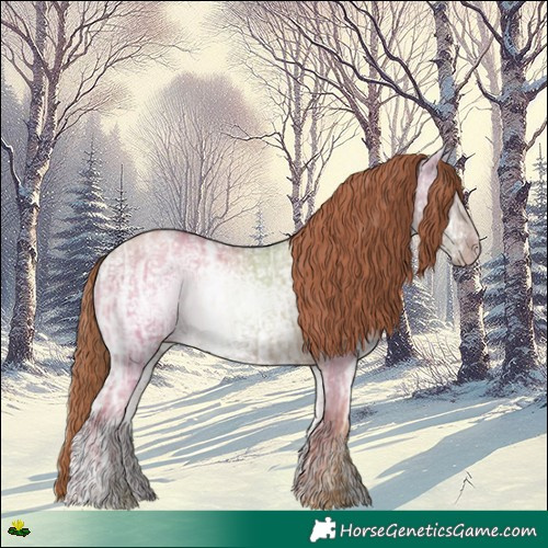 Horse Color:Gold Champagne Ice Dun Rabicano