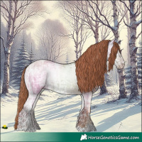 Horse Color:Gold Champagne Ice Dun Rabicano 