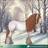 Horse Color:Gold Champagne Ice Dun Rabicano 