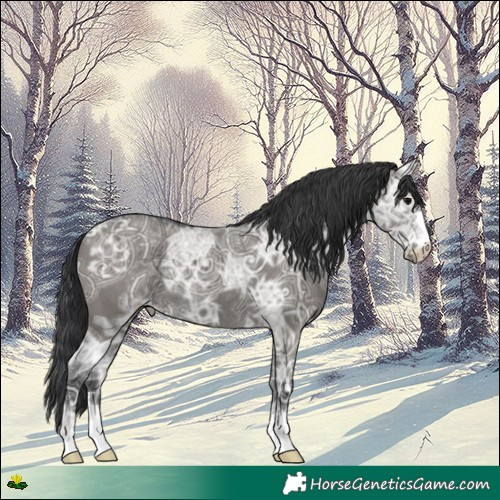 Horse Color:Grullo Ice Rabicano 