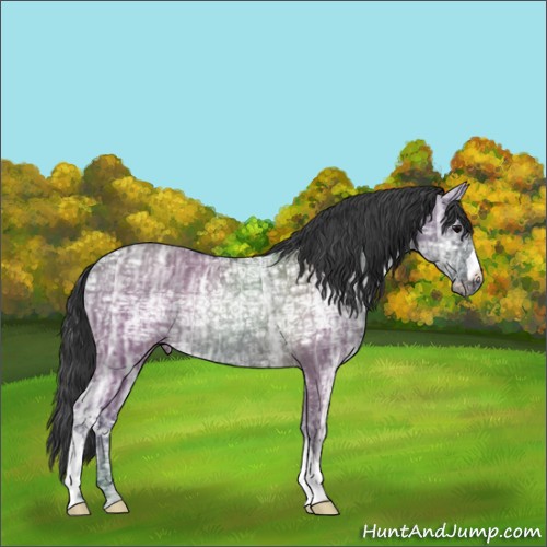 Horse Color:Grullo Ice Rabicano 