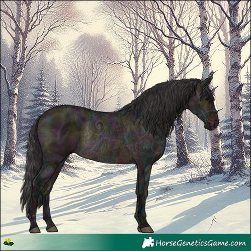 Horse Color:Midnight Brown Ice Dun Rabicano 