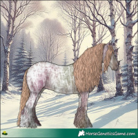 Horse Color:Liver Red Dun Ice Rabicano 