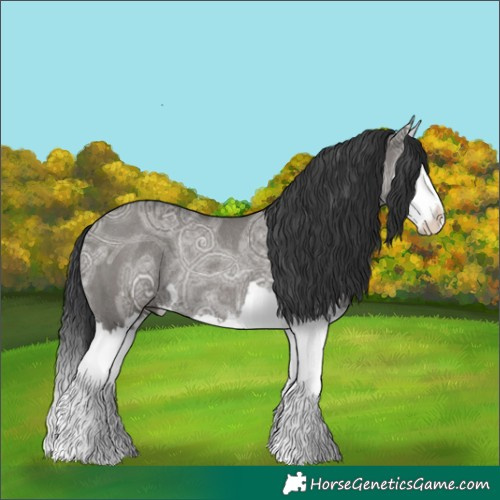 Horse Color:Grullo Ice Splash Rabicano 