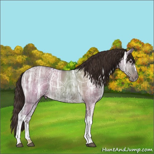 Horse Color:Liver Red Dun Ice Rabicano 