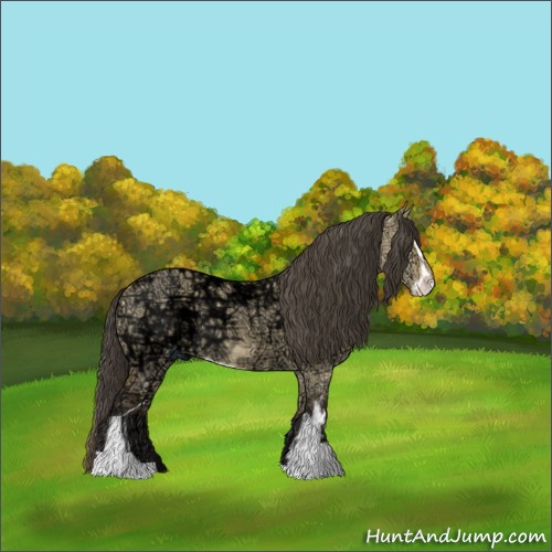 Horse Color:Buckskin Ice Dun Sabino 