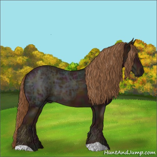 Horse Color:Midnight Chestnut Ice 
