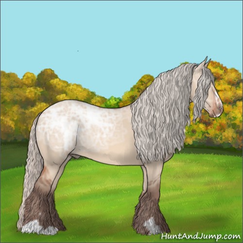Horse Color:Silver Bay Ice Dun Sabino 