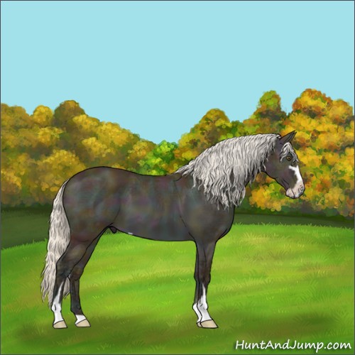 Horse Color:Midnight Silver Buckskin Ice Dun Sabino 