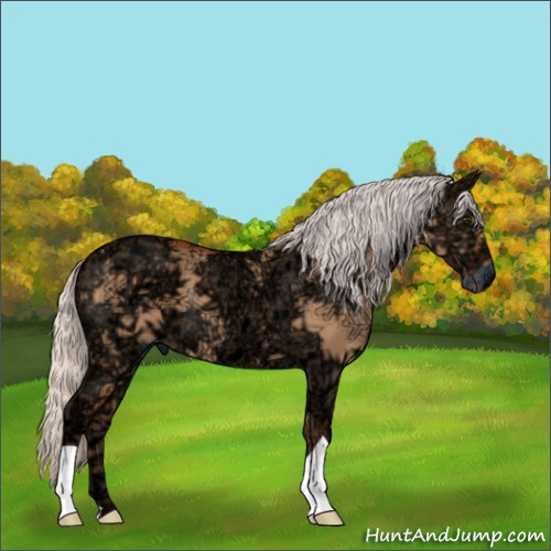 Horse Color:Silver Bay Ice Dun 