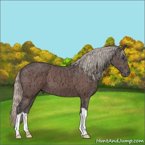 Horse Color:Silver Brown Ice 