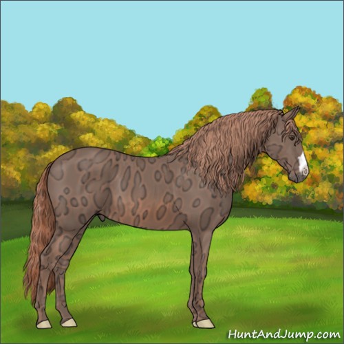 Horse Color:Chestnut Ice 