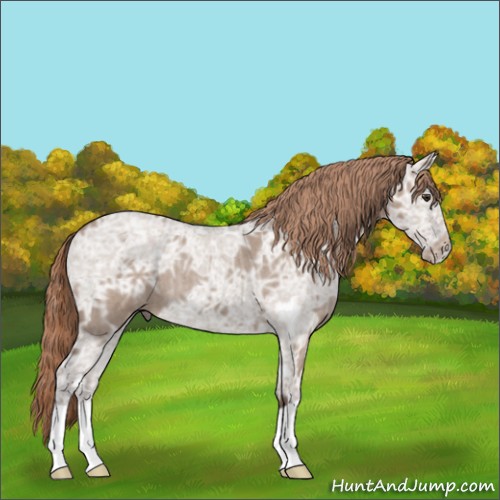 Horse Color:Liver Red Dun Ice Roan 