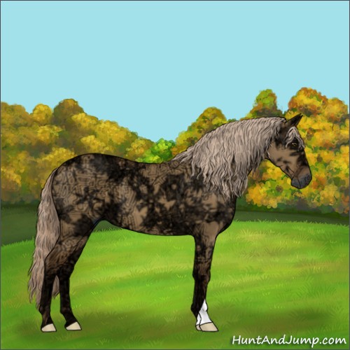 Horse Color:Chocolate Palomino Ice Dun 