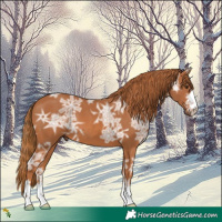 Horse Color:Chestnut Ice 