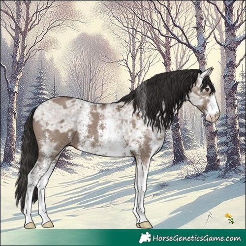Horse Color:Liver Red Dun Ice Sabino