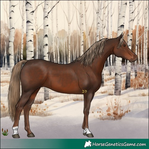 Horse Color:Liver Chestnut 