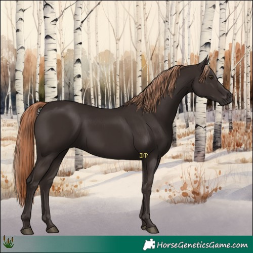 Horse Color:Liver Chestnut 