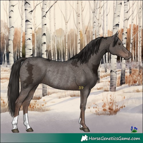 Horse Color:Liver Chestnut Ice Rabicano