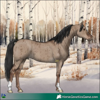 Horse Color:Liver Red Dun Brindle 