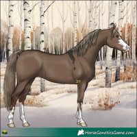 Horse Color:Liver Red Dun