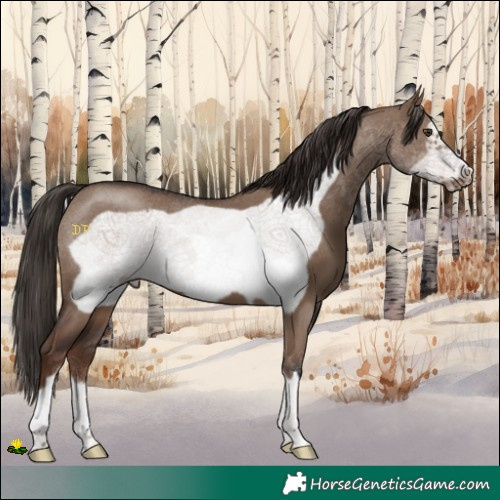 Horse Color:Liver Red Dun Frame 