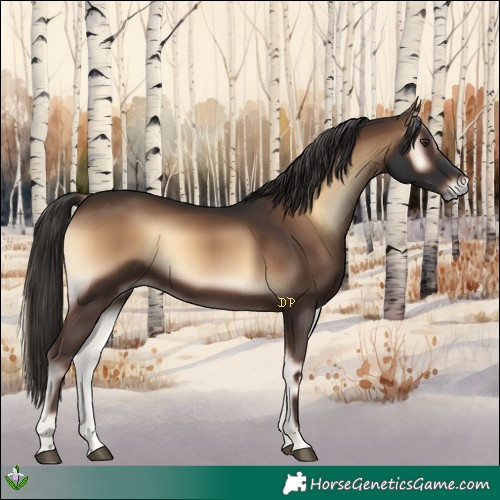 Horse Color:Liver Red Onyx