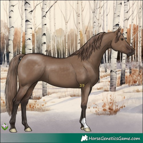 Horse Color:Liver Red Dun 