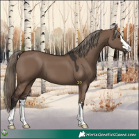 Horse Color:Liver Red Dun 