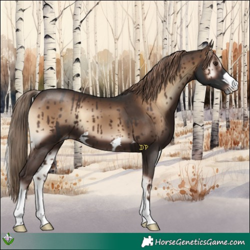 Horse Color:Liver Red Onyx 