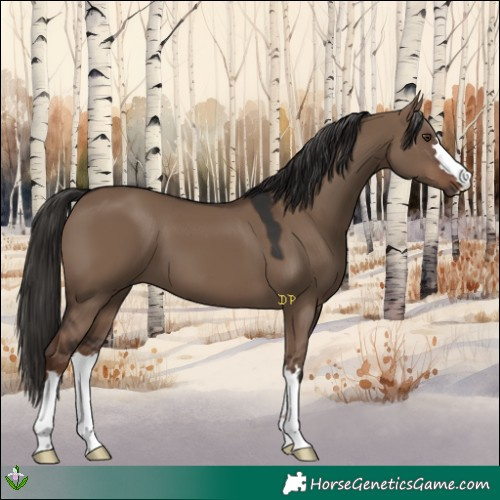 Horse Color:Liver Red Dun 