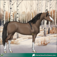 Horse Color:Liver Red Dun