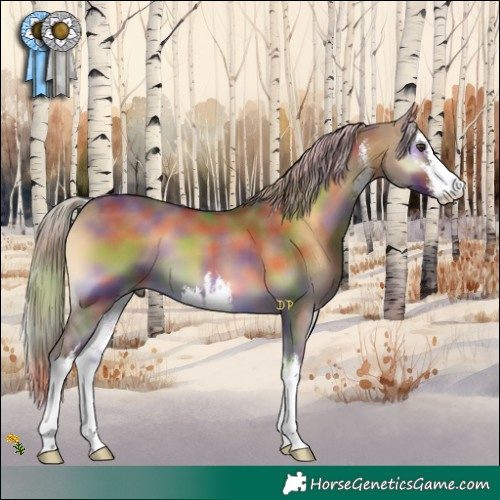 Horse Color:Nacre White Spotted Chocolate Palomino Onyx 