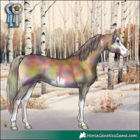 Horse Color:Nacre White Spotted Chocolate Palomino Onyx 