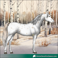 Horse Color:White Spotted Chocolate Palomino Dun Sabino 