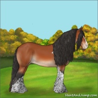 Horse Color:Bay Splash Tobiano Varnish 