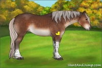 Horse Color:Silver Brown Sabino Tobiano Rabicano 