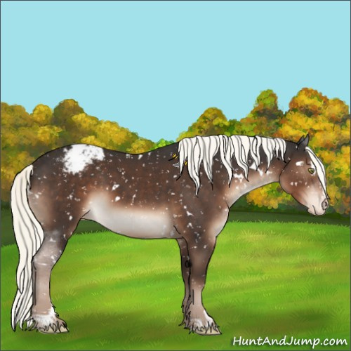 Horse Color:White Spotted Liver Chestnut Mushroom Sabino Snowcap 