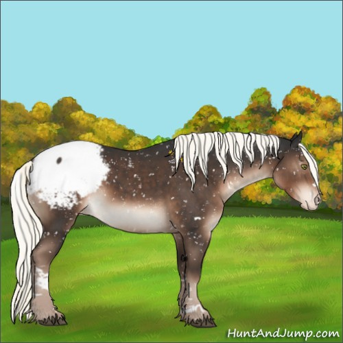 Horse Color:White Spotted Liver Chestnut Mushroom Snowcap