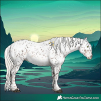 Horse Color:Liver Chestnut Mushroom Sabino 