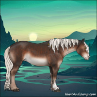 Horse Color:Liver Chestnut Mushroom Sabino