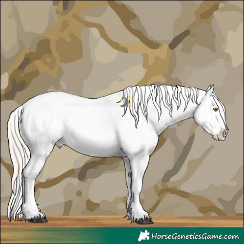 Horse Color:White Spotted Liver Chestnut Mushroom Snowcap