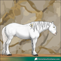 Horse Color:White Spotted Liver Chestnut Mushroom Appaloosa 