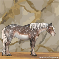 Horse Color:White Spotted Liver Chestnut Mushroom Appaloosa 