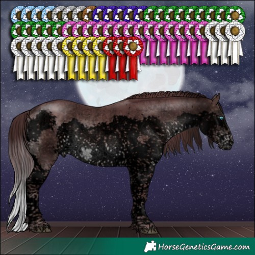 Horse Color:Void Platinum Chocolate Brown Sabino Splash Tobiano 