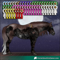 Horse Color:Void Platinum Chocolate Brown Sabino Splash Tobiano 