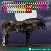 Horse Color:Void Platinum Chocolate Brown Sabino Splash Tobiano 