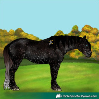 Horse Color:Void Platinum Chocolate Brown Sabino Splash 