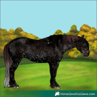 Horse Color:Void Platinum Chocolate Brown Sabino Splash